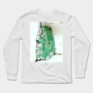 Sleeping Tree Frog Long Sleeve T-Shirt